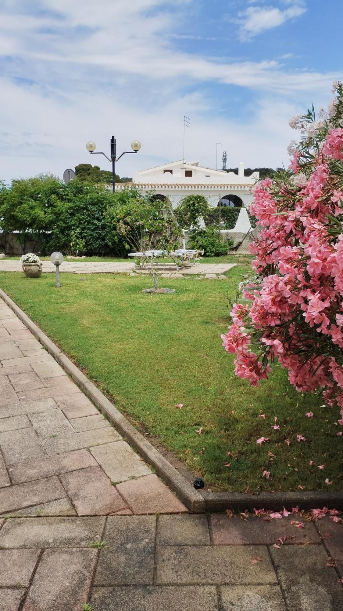 Luisitta Codice Iun Q5908 Porto Columbu - Perd'E Sali