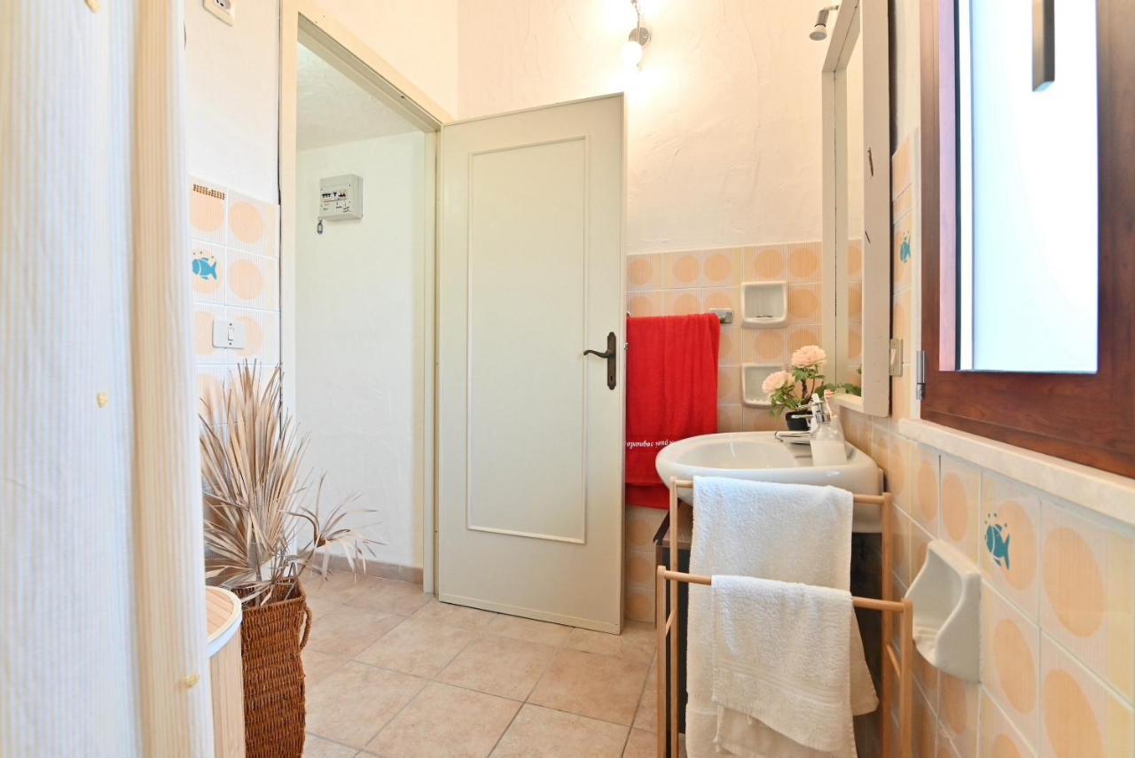 Luisitta Codice Iun Q5908 *